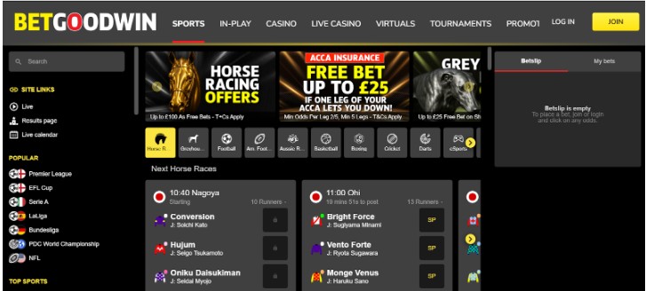 Betgoodwin Ireland Registration Step1