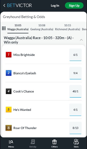 Betvictor Ireland Greyhound betting