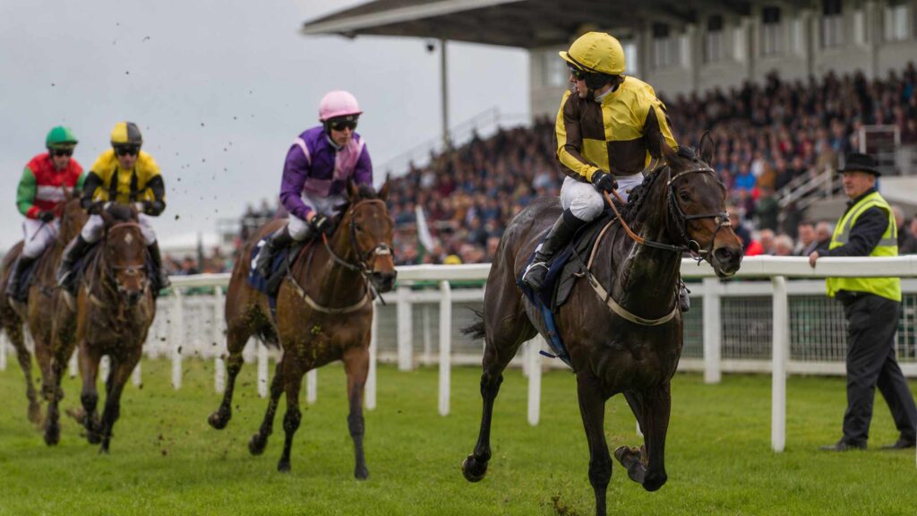 Racehorses and jockeys competing turf