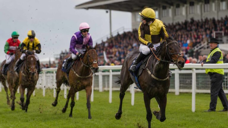 Racehorses and jockeys competing turf